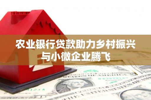 京口农业银行贷款助力乡村振兴与小微企业腾飞