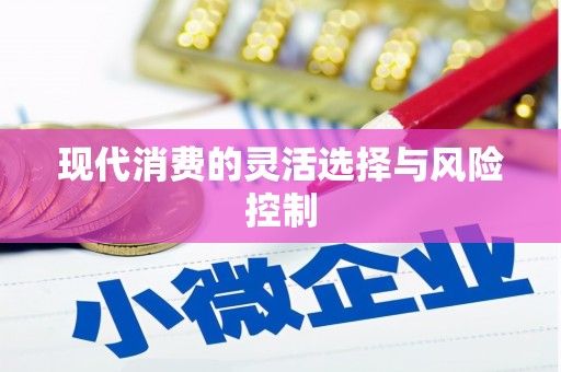 京口现代消费的灵活选择与风险控制