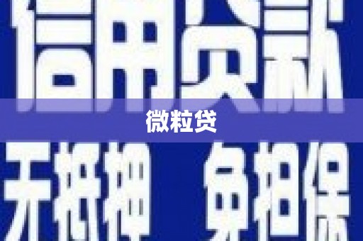 京口微粒贷
