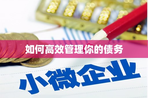 京口如何高效管理你的债务