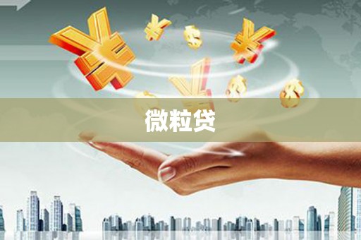 京口微粒贷
