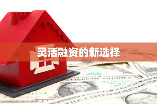 京口灵活融资的新选择