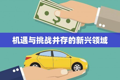 京口机遇与挑战并存的新兴领域
