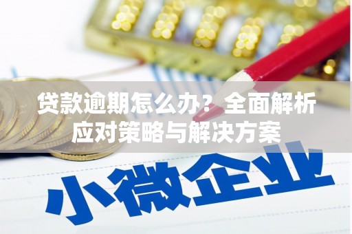 京口贷款逾期怎么办？全面解析应对策略与解决方案