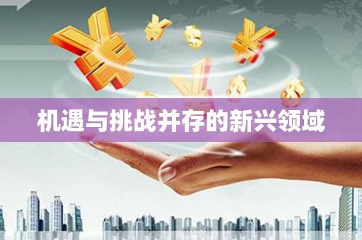 京口机遇与挑战并存的新兴领域