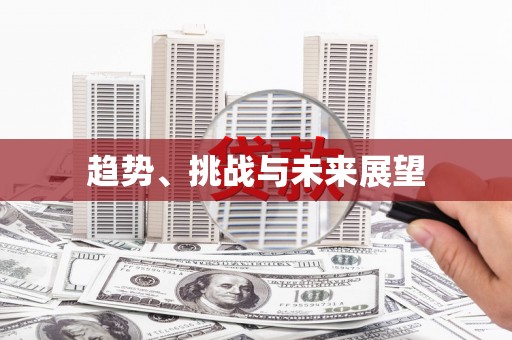 京口趋势、挑战与未来展望