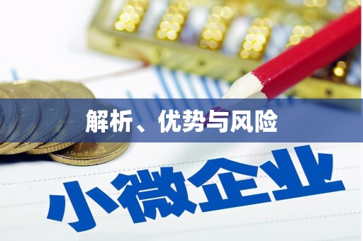 京口解析、优势与风险