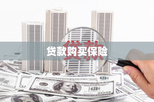 京口贷款购买保险